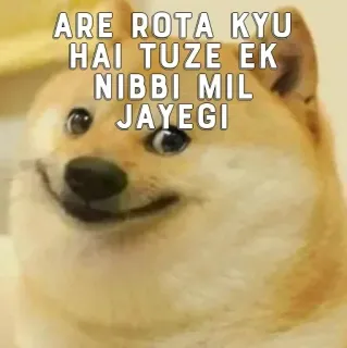 🥺 Doge Meme ARE ROTA KYU HAI TUZE EK NIBBI MIL JAYEGI doge, meme, funny, dog, hindi, nibbi, humor telegram sticker