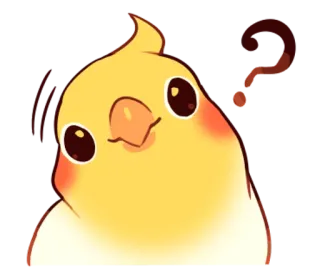 😨 cockatiel, oiseau, mignon, question, animal, dessin animé, animal de compagnie whatsapp sticker