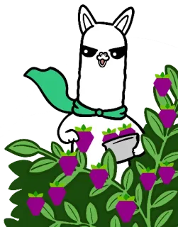 🍓 лама, плащ, кусты, фрукт whatsapp sticker