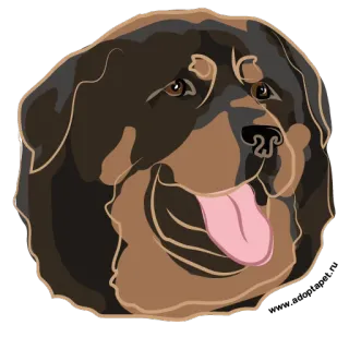 😊 chien, mâtin du Tibet, animal de compagnie, animal, animal domestique, race de chien whatsapp sticker
