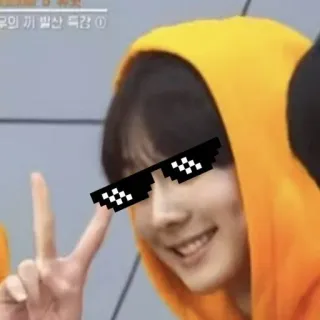 😎 lunettes de soleil, personne, sweat à capuche, portrait, drôle, mème whatsapp sticker
