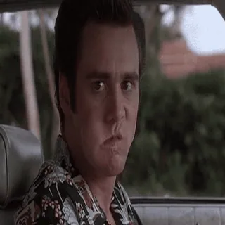 Ace Ventura @stickerstgrm whatsapp stickers