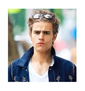 🤐 Paul Wesley attore, ritratto, persona, celebrità telegram sticker