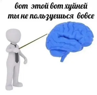 🌟 вот этой вот хуйней ты не пользуешься вовсе มีม, สมอง, คำดูถูก, ก้าวร้าว, หยาบคาย, รัสเซีย telegram sticker