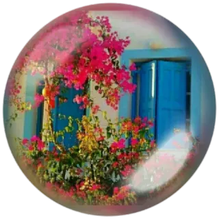 😊 Blume, Haus, Fenster, Blase, Natur, Pflanze whatsapp sticker