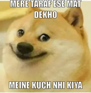 🌚 MERE TARAF ESE MAT DEKHO
MEINE KUCH NHI KIYA doge, meme, pies, śmieszne, tekst telegram sticker