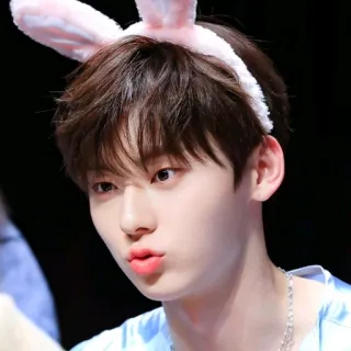 ☘ persona, orejas de conejo, k-pop, celebridad, ídolo, lindo, guapo telegram sticker