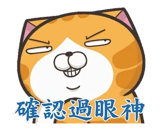 ⭐️ 確認過眼神 gato, meme, emoji, animal, divertido telegram sticker