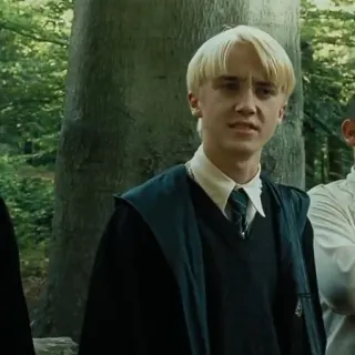 🐍 Draco Malfoy Harry Potter Draco Malfoy, Harry Potter, Slytherin, Mago, Personaje, Tom Felton whatsapp sticker