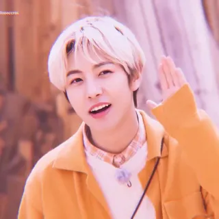 🐥 kpop, asiático, idol, pessoa, retrato, cantor telegram sticker