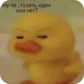 😝 ну че , гулять идем или нет? duck, sticker, cartoon, cute, funny telegram sticker