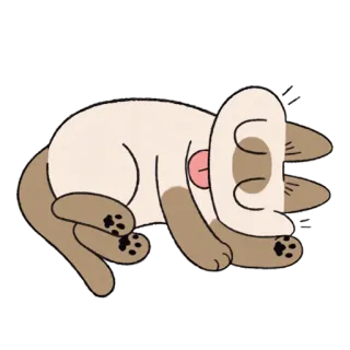 🐱 cat, sleeping, animal, cartoon, cute, siamese telegram sticker