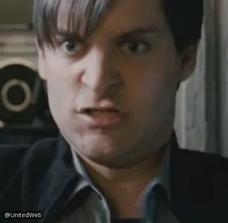 😡 Peter Parker Spider-Man 3 tobey maguire, spider-man, meme, angry, movie telegram sticker