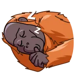 😴 Z orangutan, tidur, binatang, imut, kartun, malas whatsapp sticker