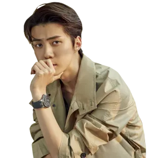 🤔 Sehun sehun, kpop, exo, idole, coréen, chanteur, stylé whatsapp sticker