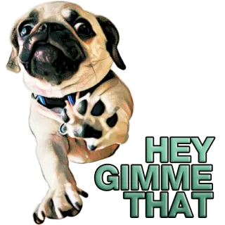 😉 HEY GIMME THAT 퍼그, 개, 애완동물, 웃긴, 동물, 귀여운 telegram sticker