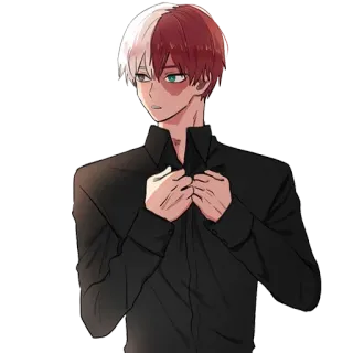 🥵 Shoto Todoroki My Hero Academia Anime, My Hero Academia, Shoto Todoroki, Karakter, Manga whatsapp sticker