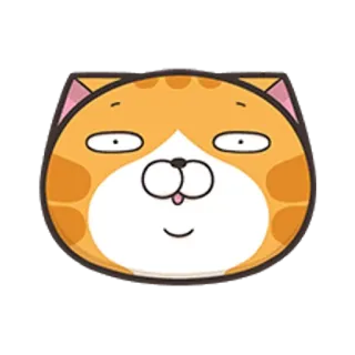🐵 고양이, 동물, 얼굴, 주황색, 귀여운, 만화, 스티커 telegram sticker