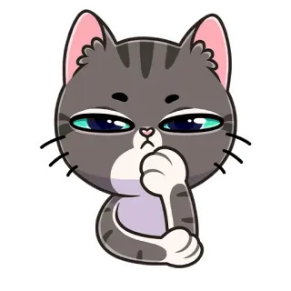 🤨 chat, chaton, animal, gris, autocollant, mignon whatsapp sticker