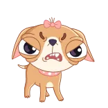 😠 Hund, Cartoon, wütend, Haustier, Tier, süß, Schleife, Welpe whatsapp sticker