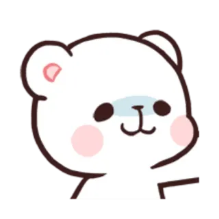 🙃 bear, cute, cartoon, animal telegram sticker