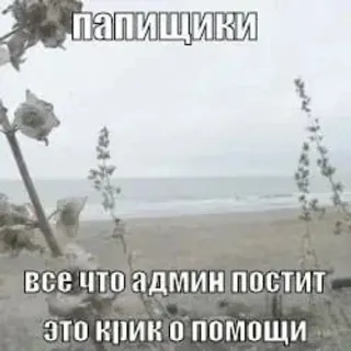 🌟 папищики
все что админ постит
это крик о помощи 러시아어, 텍스트, 관리자, 밈, 구조 요청 whatsapp sticker