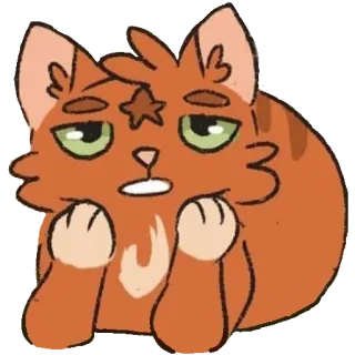 😐 Katze, orange Katze, Aufkleber, Cartoon Katze telegram sticker