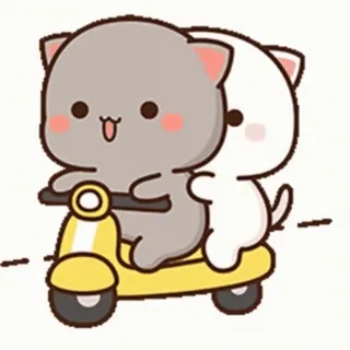 love quinns video kang pack telegram stickers