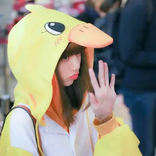 👋 canard, animal, mignon, fille, sweat à capuche, cosplay, dessin animé, jaune telegram sticker