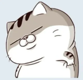 🥴 Katze, Tier, süß, Aufkleber, Cartoon, lustig, Haustier telegram sticker