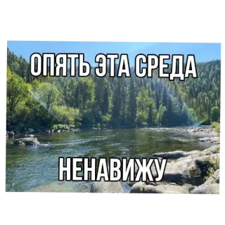 🤬 ОПЯТЬ ЭТА СРЕДА
НЕНАВИЖУ 강, 자연, 텍스트, 러시아어, 밈 telegram sticker