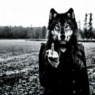 😘 lobo, dedo corazón, gesto ofensivo, cabeza animal, blanco y negro telegram sticker