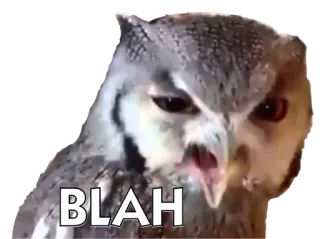 🐧 BLAH сова, птица, бла-бла telegram sticker