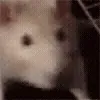 ☺️