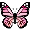 🦋