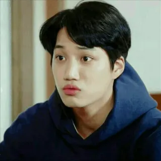 🌱 mężczyzna, kpop, exo, kai, azjata, portret, piosenkarz whatsapp sticker