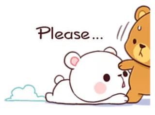 🙏 Please... urso, fofo, desenho animado, implorando, pedido, animação, kawaii telegram sticker
