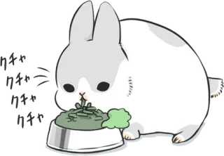 🍴 クチャ królik, zajączek, je, słodki, zwierzę, kawaii telegram sticker