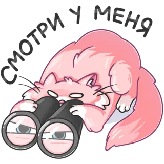 💤 кот, бинокль, смотрит, розовый, подглядывает, поиск whatsapp sticker
