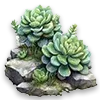 🌵