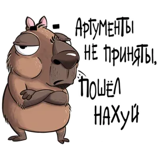 Подписывайся на мемы @la_print_msk telegram stickers