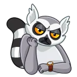⏳ lemur, animal, waiting, bored, expression, watch, time telegram sticker