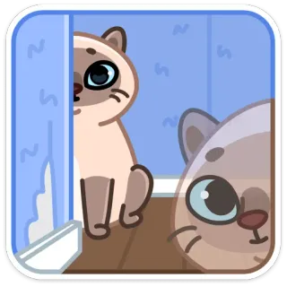 ☺️ кот, котёнок, подглядывать, занавеска, питомец, милый, мультфильм, животное telegram sticker