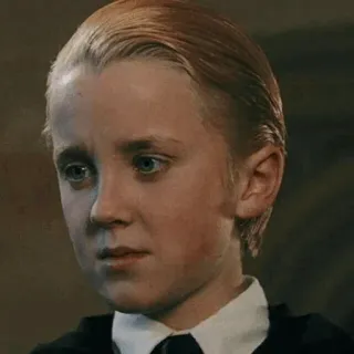 🐾 Draco Malfoy Harry Potter 드레이코 말포이, 해리 포터, 캐릭터, 영화, 마법사, 마법 telegram sticker