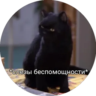 😥 *слезы беспомощности* 猫, 黒猫, ミーム, 悲しい, 涙 telegram sticker
