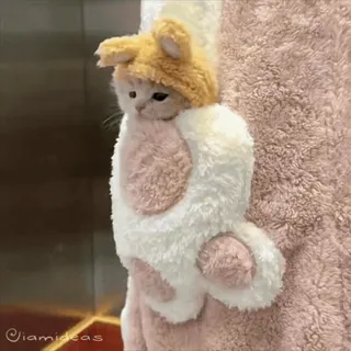 😈 mèo, mèo con, dễ thương, động vật, thú cưng, mềm mại, mũ thỏ whatsapp sticker