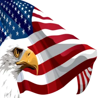 🇺🇸 bandera americana, águila, EE. UU., patriótico telegram sticker