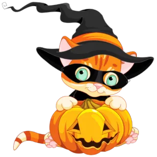 🎭 kot, halloween, dynia, wiedźma, zwierzę, pomarańczowy kot telegram sticker