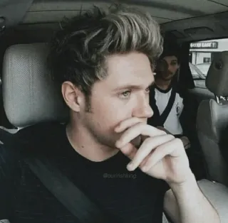 🥀 @louishking Niall Horan, Louis Tomlinson, One Direction, boyband, singer, celebrity telegram sticker