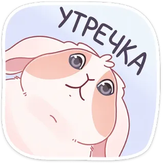 ☀️ УТРЕЧКА coelho, fofo, coelho, animal, desenho animado, manhã, saudação whatsapp sticker